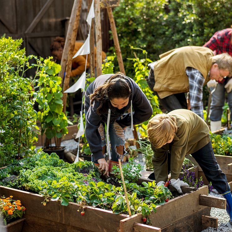 nonProfit-AdobeStock_158932519-cropped