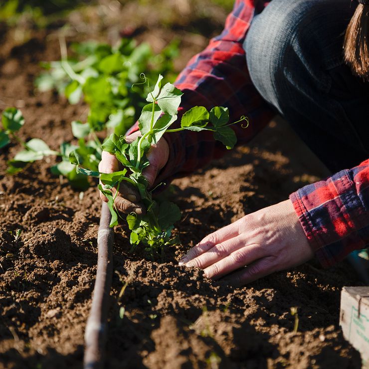 nonProfit-AdobeStock_317593731-cropped