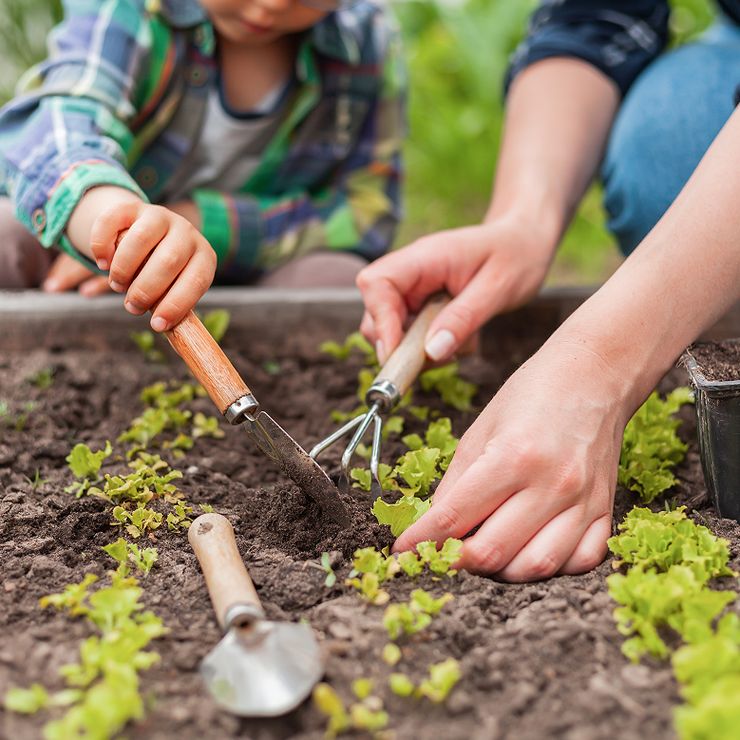 nonProfit-AdobeStock_439262696-cropped