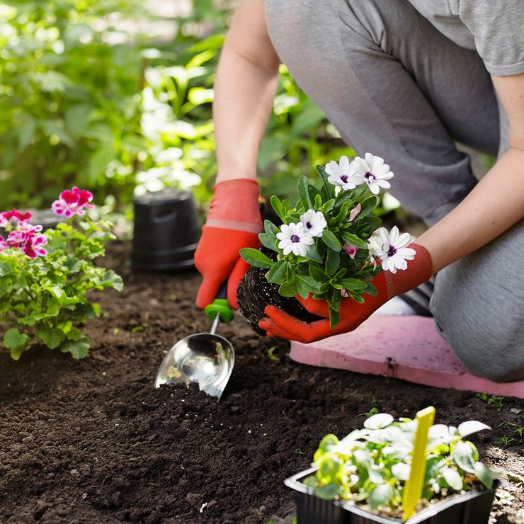nonProfit-AdobeStock_154727885-cropped