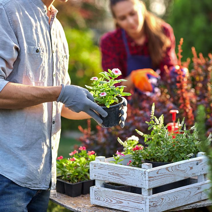 nonProfit-AdobeStock_248915857-cropped