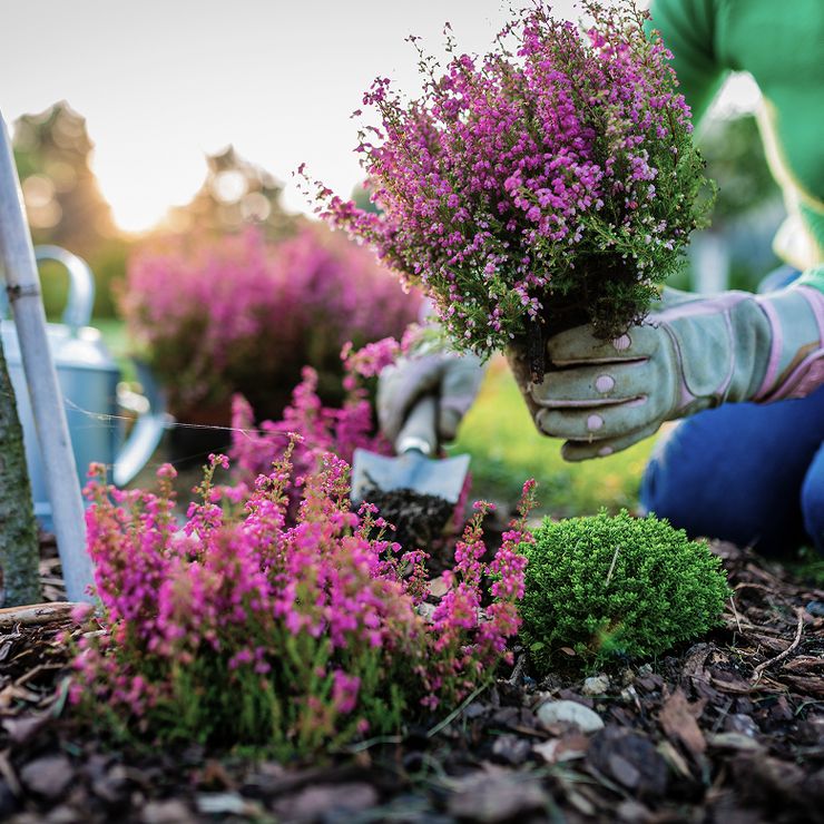 nonProfit-AdobeStock_224104228-cropped